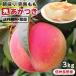  peach .. attaching preeminence goods 3kg Nagano prefecture production free shipping direct delivery from producing area morning .. the same day shipping -Y07G.... present Bon Festival gift fruit beautiful taste ... fruit your order 