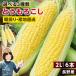  corn 2kg 6 pcs set free shipping maize Gold Rush Golden time . hoe . corn Nagano prefecture production summer vegetable morning ..