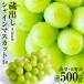  автомобиль in мускат подарок превосходящий товар 1. примерно 500g Yamanashi * Nagano производство большой . только . тщательно отобранный лед температура . магазин -S11T вид нет кожа .. высота сахар раз виноград . новогоднее поздравление подарок по случаю конца года бесплатная доставка 