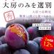 �i�K�m�p�[�v�� ��[ ��1.2kg 2�[ �G�i ���쌧�Y �Ԃǂ� �������� �����x �햳�� �炲�ƐH�ׂ�� ����I���W�i���i�� ���� �u�h�E ����p�[�v�� ��PayPay�� �֘A�摜2