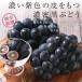 �i�K�m�p�[�v�� ��2kg 3�`5�[ �G�i ���쌧�Y �Ԃǂ� �������� �����x �햳�� �炲�ƐH�ׂ�� ����I���W�i���i�� ���� �u�h�E ����p�[�v�� �֘A�摜5