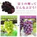 �Ԃǂ� �x�m�̋P �햳�� 700g�ȏ� 1�[ �G�i �������� ���󏭂Ԃǂ� �Y�n���I �u���b�N�V���C���}�X�J�b�g ���� �u�h�E �炲�ƐH�ׂ��� �嗱 ��[ ���� �֘A�摜3