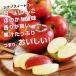 ��� �V�i�m�X�C�[�g 3kg �G�i �������� ���쌧�Y �t�Ƃ炸�����S -Y10�f �{�̉ʕ� �t���[�c �Y�n���� ������ �����p ���蕨 �M�t�g ��PayPay�� �֘A�摜3