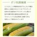 ���l�b�g �A���ăl�b�g �A���� �G�R �T�X�e�B�i�u�� �Z�� ���ߍ� ���{�� ��� �Ό� �|�C���g���� �R�� | �A���R���̖A���ăl�b�g ���[���� �֘A�摜2