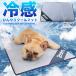 �� �L �N�[���}�b�g �Ђ��� �⊴ �􂦂� �₦�}�b�g �y�b�g �O�b�Y �V�[�g  ���^�� ���^�� ��^��