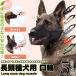  dog muzzle; ferrule mazru length head kind dog. muzzle; ferrule uselessness .. biting attaching .. meal . prevention mask mesh 