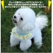 �� �L �n�[�l�X ���[�h�t �t���� �`�F�b�N ���b�V�� �E�F�A�n�[�l�X �y�� ������ �y�b�g �� ���� �L���b�g �h�b�O �֘A�摜1
