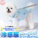 �� �L �G�炵�� �Ђ��� �⊴ ��p �f�� �N�[�� �� �E�F�A �^���N�g�b�v  �y�b�g �h�b�O �h�b�O�E�F�A ���^�� ���^�� �t �� �H �~