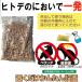�V�R �q�g�f ������ 500g( 500g�~1��)�Q�b�쏜 �Q�� �H�Q�h�~ �b �C�^�` �^�k�L �w�r �J���X �� �n�g �l�Y�~ �C�m�V�V ���J�f ���� �ƒ�؉� �q�g�f�̂ЂƂ� �֘A�摜2