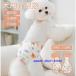 ���p �T�j�^���[�p���c ���p�}�i�[�p���c �����p���c ���ނJ�o�[ �T�X�y���_�[�t�� �}�i�[�x���g�h�b�O�E�F�A �����p ���� ���^�� ���^�� ���