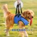  собака для уход Harness приспособление для ходьбы . собака ходьба поддержка пассажирский Harness устойчивый .. поддержка маленький размер собака средний собака прогулка для травма рука . после переустановка простой высота . собака .