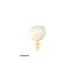 �T�C�g�E�}���b�g Saito �ю����w�b�h 110�V���[�Y �ٕ� 37cm No.116 �d�xHS �}�����o �r�u���t�H���Ɂ@2�{�g1�Z�b�g