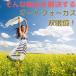 �o�ዾ �R���T�[�g ���C�u�p �I�[�g�t�H�[�J�X 10�{ ���{�� �h�[�� �I�y���O���X �s���g���킹�s�v �֘A�摜2