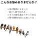 �L�悯 ���悯�O�b�Y  �Ƃ� �}�b�g 10���Z�b�g �S��2.5m �x�����_ ���悯�O�b�Y �Q�� ���悯 ���ފ� �˂��悯 �֘A�摜1
