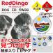 RED DINGO красный Dingo PET ID TAGS природа & живое существо серии для домашних животных собака для печать ввод ID бирка именная бирка 