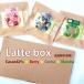 * белый шоко нравится. person .*Latte Box* - кальмар kao man ti Anne шоколад 3 шт. комплект подарочная коробка **[ без добавок ]...* ароматические вещества * окраска стоимость не использование /.. запись .