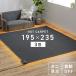 �z�b�g�J�[�y�b�g 3�� �{�� TEKNOS 195�~235cm ������� �ߓd �_�j�ގ� �܂��� ���x���� �d�C�J�[�y�b�g �d�C�}�b�g �e�N�m�X �������� TWA-3002B (D)(B)