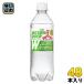 アサヒ 三ツ矢サイダー W(ダブル) 485ml ペットボトル 48本 (24本入×2 まとめ買い)〔炭酸飲料 〕
ITEMPRICE