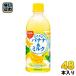  Sangaria .... banana & молоко 500ml пластиковая бутылка 48шт.@(24 шт. входит ×2 массовая закупка ) banana молоко . напиток ...