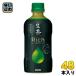  жираф сырой чай Ricci 400ml пластиковая бутылка 48шт.@(24 шт. входит ×2 массовая закупка ) чай (напиток) ....Rich зеленый чай 
