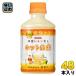  жираф пчела меласса лимон .. hot сырой . плазма . кислота .280ml пластиковая бутылка 48шт.@(24 шт. входит ×2 массовая закупка ). кислота . напиток освобождение . уход HOT функциональность отображать еда 