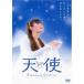  новый товар ангел / (DVD) TBIBJ6508-HPM