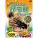  new goods . hoe ..! insect pavilion (.......) watch ng(DVD) KID-1404(45N)