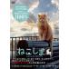  новый товар ..../ (DVD) FFEDS-980