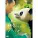  новый товар мой родители love становится f-bao/ (DVD) FFEDS-982