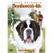  новый товар беж to- Ben 4 [DVD] / (DVD) GNBF3693-HPM