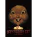  новый товар happy *tes*tei(DVD) GNBF5425-HPM