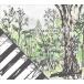 �ڤ��ޤ�CL�աۿ��� Piano set Ghibli / (V.A.) (CD) PSWS-1088-TOW