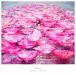 【おまけCL付】新品 Ref:rain / 眩いばかり(初回生産限定盤) / Aimer エメ (SingleCD+DVD) SECL-2252-SK