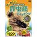  новый товар . тяпка ..! насекомое павильон (.......) часы ng(DVD) KID-1404(45N)