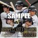 2025/10/25 продажа предположительно! [ дополнение CL есть ] настольный Hanshin Tigers 2026 год календарь CL-586 CL26-586