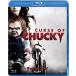 [ дополнение CL есть ] новый товар детский * Play / рождение. секрет / (Blu-ray) GNXF1787-HPM
