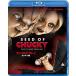 [ дополнение CL есть ] новый товар детский * Play / коричневый  ключ. вид / (Blu-ray) GNXF2389-HPM