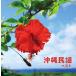 [ дополнение CL есть ] новый товар Okinawa фолк King * super * twin * серии 2026 / (2CD) KICW7857