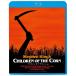 [ дополнение CL есть ]2026.08.05 продажа дети *ob* The * кукуруза / (Blu-ray) KIXF-2171