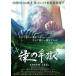 [ дополнение CL есть ] новый товар зеленый. ../ (DVD) MX-697S-MX