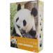 �V�i ���낲��p���_���L �R���v���[�gBlu-ray BOX�i�ʏ�Łj / �p���_�̃^���^��(6Blu-ray) NSBX-54706