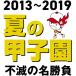 [ дополнение CL есть ] новый товар лето. Koshien '13-'19 не .. название состязание / (DVD) TCED5330-TC