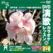 [ дополнение CL есть ] новый товар DVD энка караоке урок 95 / (DVD) VTG-095