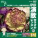 [ дополнение CL есть ] новый товар DVD энка караоке урок 97 / (DVD) VTG-097