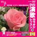 [ дополнение CL есть ] новый товар DVD энка караоке урок 98 / (DVD) VTG-098