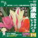[ дополнение CL есть ] новый товар DVD энка караоке урок 107 / (DVD) VTG-107