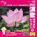 [ дополнение CL есть ] новый товар DVD энка караоке урок 112 / (DVD) VTG-112