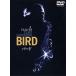 [ дополнение CL есть ] новый товар bird / (DVD) WTB11820