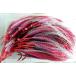 毛針　アジ15号　赤　50本　赤ブリ毛　オーロラモール