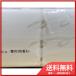 �͖쐻���R�E�C���X�E�R�ې����iVB�j�z���ӂ�����_�炩�|�P�b�g�e�B�V��������3���d��16�p�b�N ��������